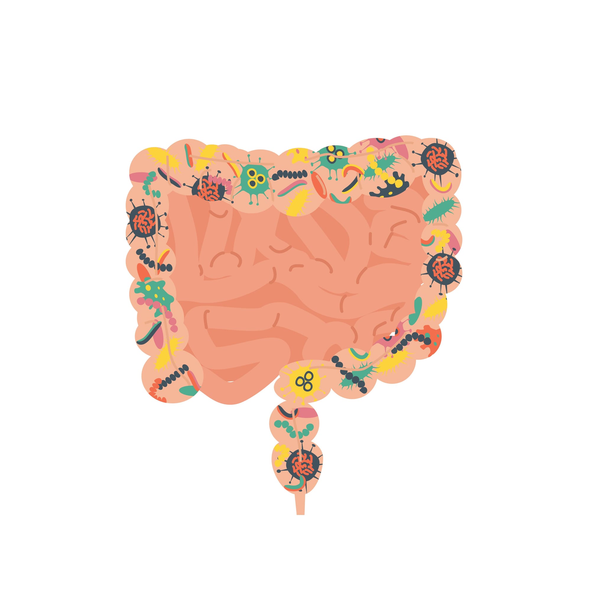 The 6 Major Gut Destroyers